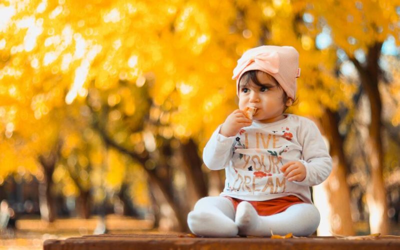 How does Family Aims help you choose the ideal surrogate in Israel?